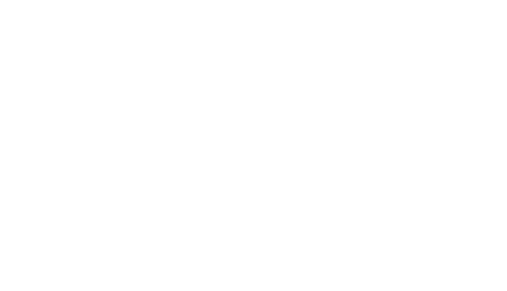Credit Lease Investments, LLC ("CLI") began its operations based on its principals having ownership interests in ten facilities leased to State Governments in Kentucky, Michigan, Missouri, New Mexico, Texas and Virginia beginning in 1999. Since its inception, CLI has expanded to provide 100% of project funds for single tenant commercial real estate and energy projects in exchange for a CLI Lease with $1.00 buy-out at the end of the lease term. The provider of CLI funds is its affiliate, Amerifund Commercial Corp., which has a long history of providing low yield funding for hundreds of single tenant projects including 131 government facilities. CLI was formed by Amerifund as a conduit to provide a Special Purpose Entity for single user projects, wherein the lessee buys out CLI at the end of the lease term for $1.00. Funds are provided by Amerifund under a Common Law Trust with low-yield institutional trust beneficiaries.